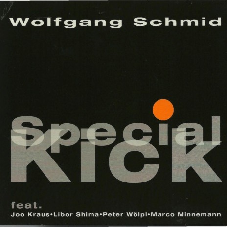 Check the Soul in Your Soul ft. Joo Kraus, Libor Shima, Peter Wölpl & Marco Minnemann cover art