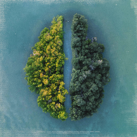 opposite side/island