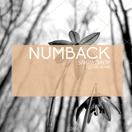 Snowdrop cover art
