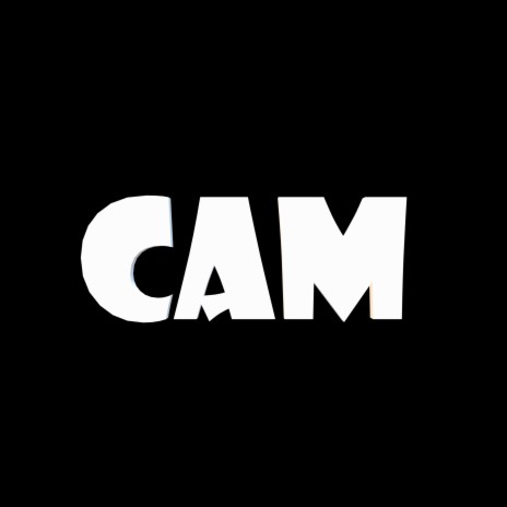Cam cover art
