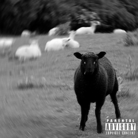 Shawtywannasmoke ft. Black Sheep cover art