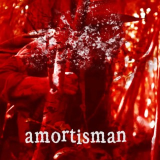 amortisman