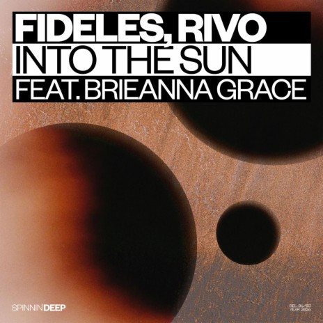 Into The Sun (feat. Brieanna Grace) cover art