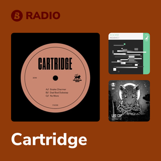 Cartridge Radio