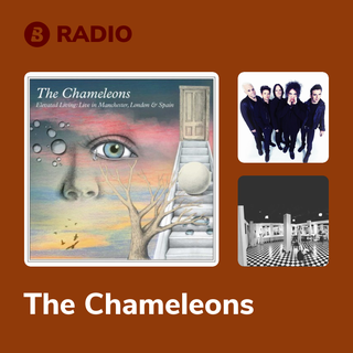 The Chameleons Radio