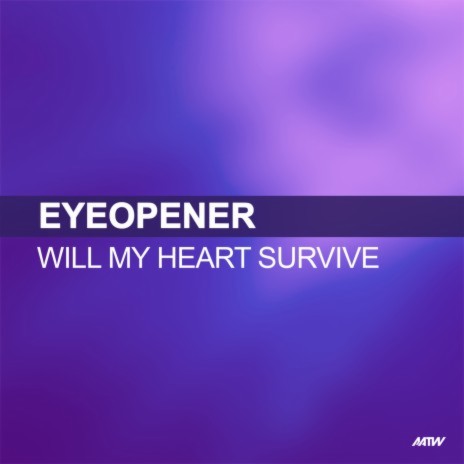 Will My Heart Survive (Jorg Schmid Remix) cover art