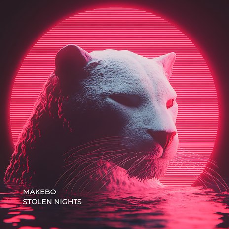 Stolen Nights cover art