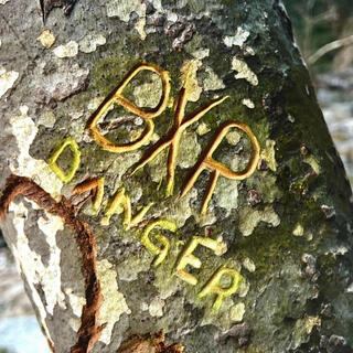 Danger