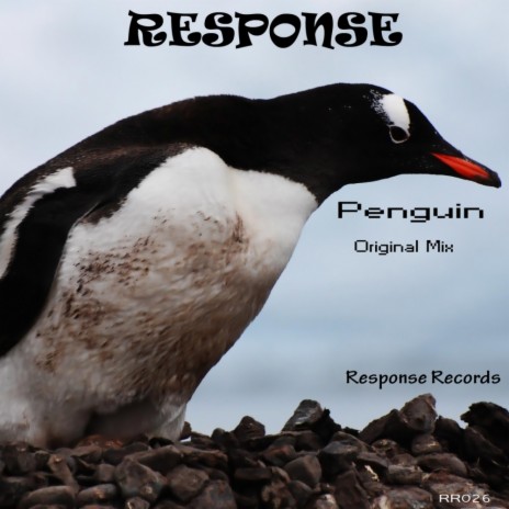 Penguin (Original Mix) cover art