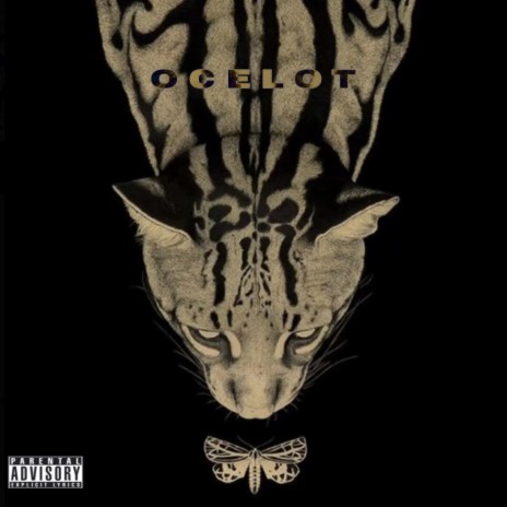 OCELOT ft. N1W, ICKYMANE & Tee Sidney