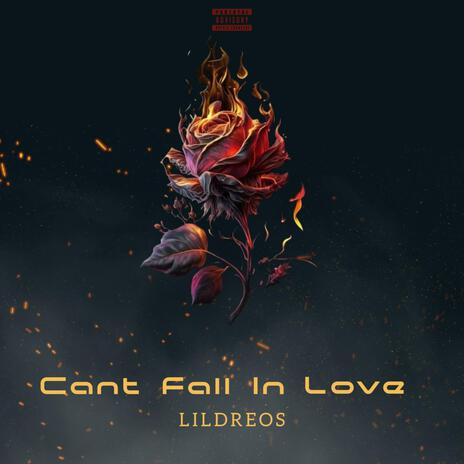 Cant Fall In Love