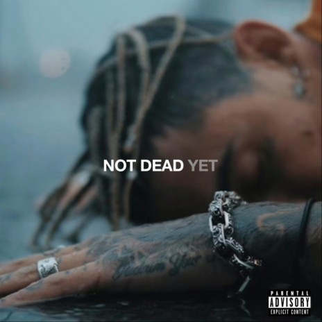 Not Dead Yet cover art