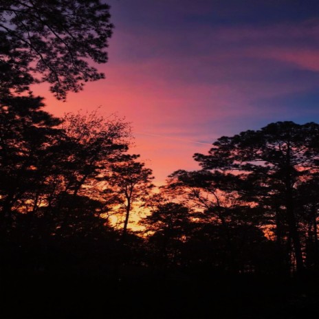 Al Atardecer cover art