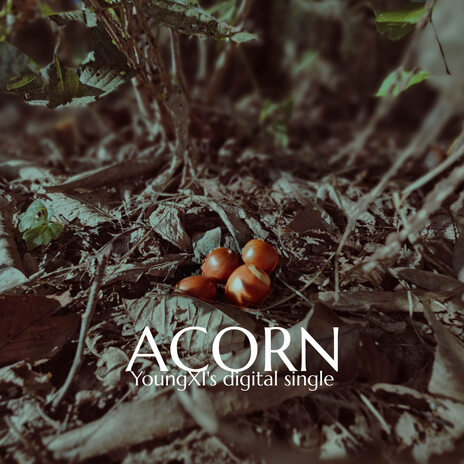 Acorn