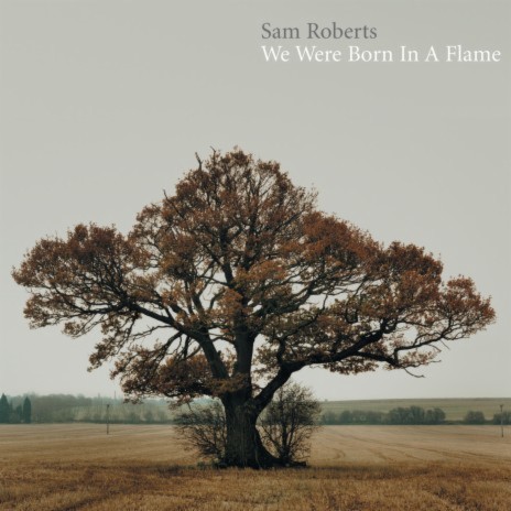 Brother Down cover art