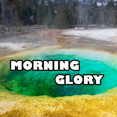 Morning Miracle