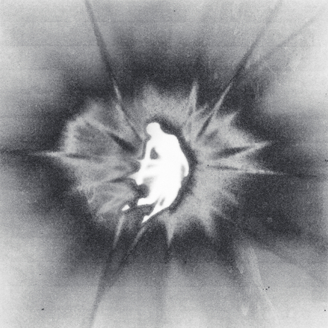 Counting Sheep cover art