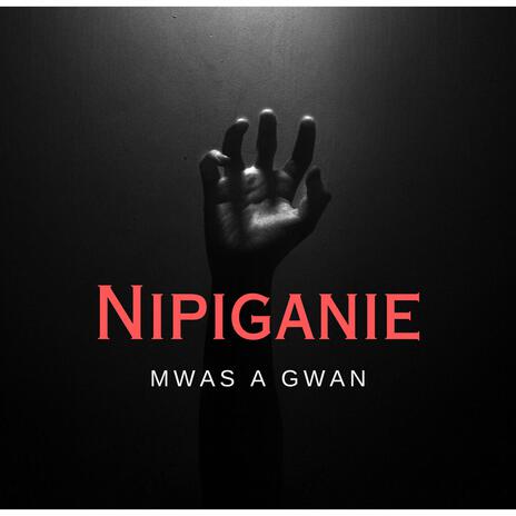 Nipiganie cover art
