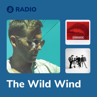 The Wild Wind Radio