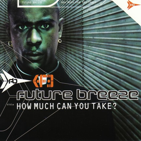 How Much Can You Take (Acapella Version) cover art