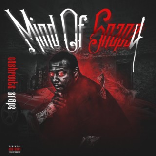 Mind Of Snapz 4