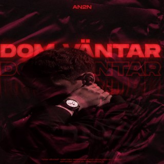 AN2N