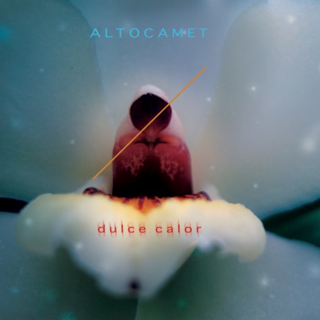 Juguete cover art