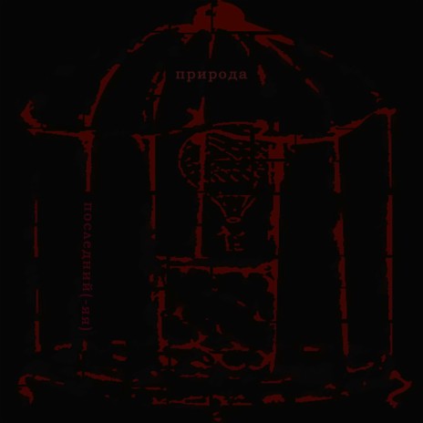 За каждой стеной cover art