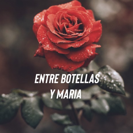 Entre Botellas Y Maria ft. Drew