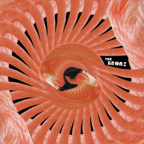 Digital Leash cover art