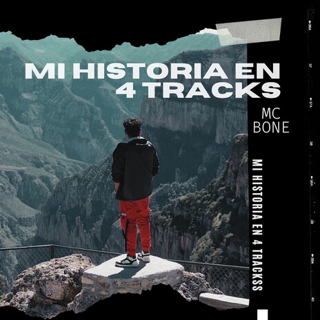 Una Vida Llena de Ironia cover art