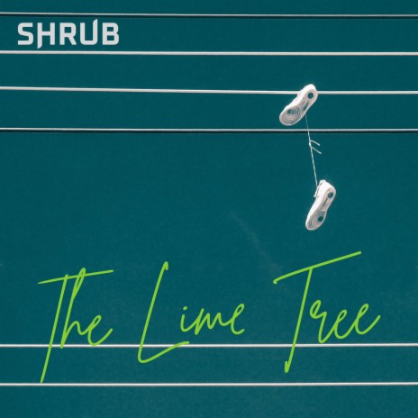 The Lime Tree cover art
