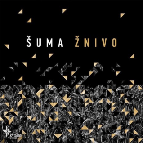 Dy Hula Pcholka (Original Mix)