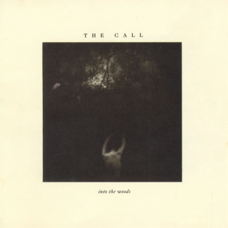 The Woods cover art