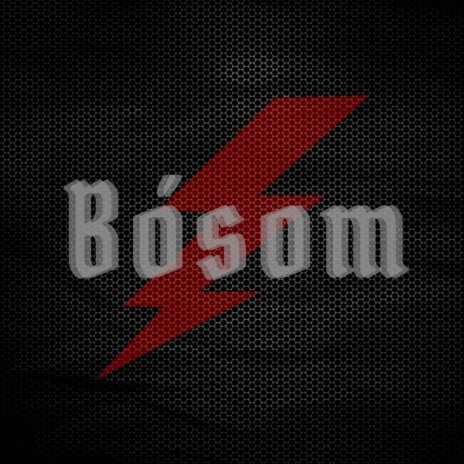 Bósom (Intro) cover art