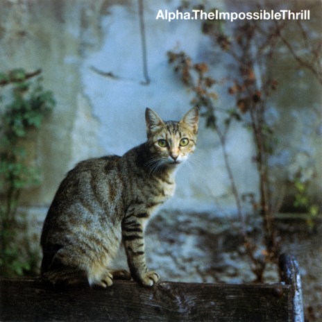 Still cover art