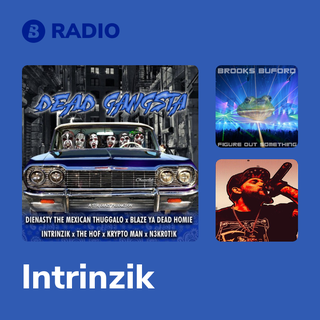 Intrinzik Radio