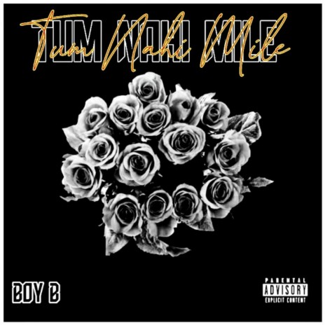 Tum Nahi Mile cover art