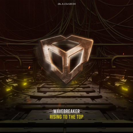Rising To The Top cover art