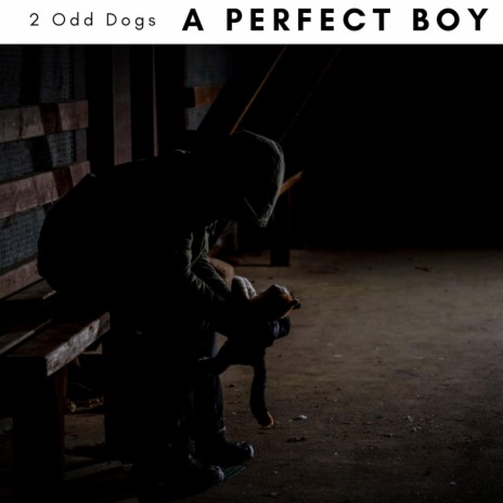 A Perfect Boy cover art