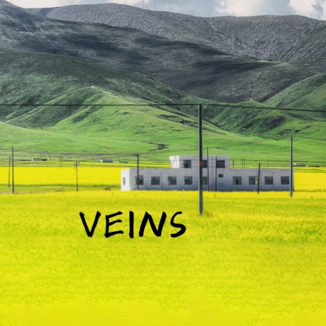 VEINS