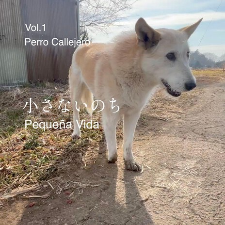 小さないのち（Pequeña Vida） cover art
