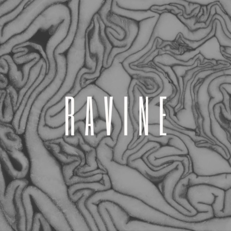 Haunted (The Band Camino) cover art