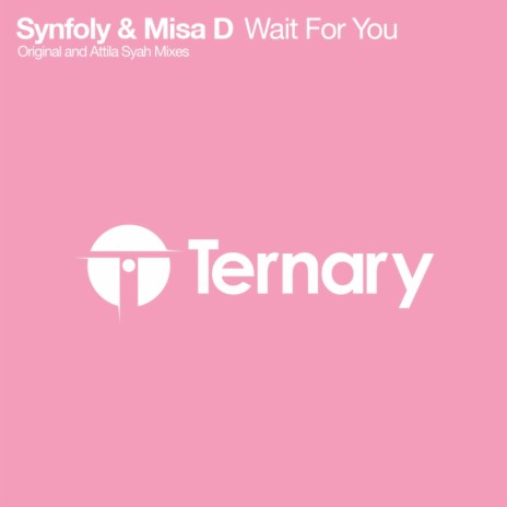 Wait For You (Attila Syah Remix) ft. Misa D cover art
