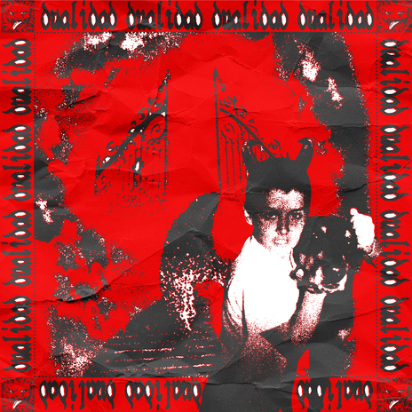 Dualidad ft. DJCaszper cover art