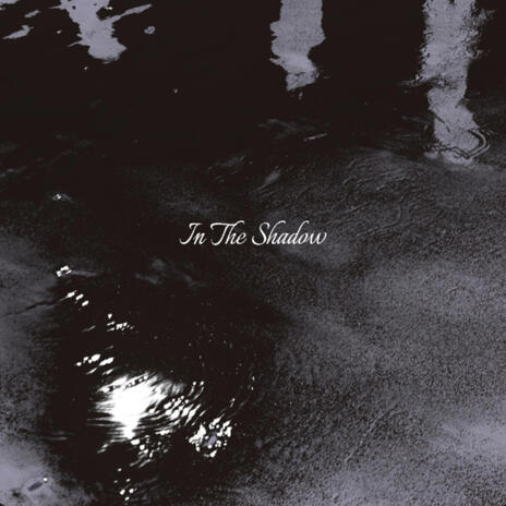 In The Shadow (slowed) cover art