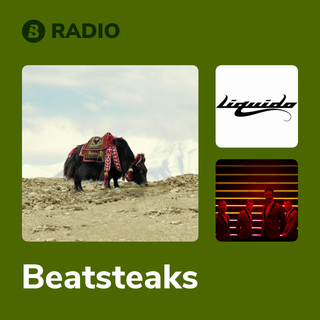 Beatsteaks Radio