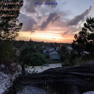 Perpetual Reflection (Deluxe/Remaster)