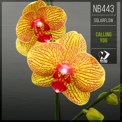 Calling You (Original Mix)