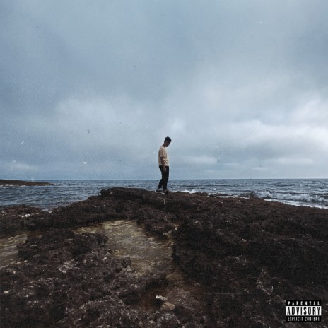 BONITA cover art
